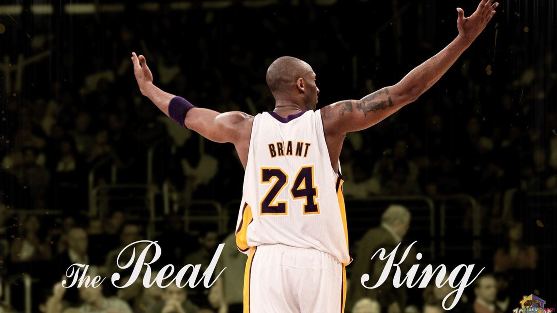 爱游戏体育（AYX）官方APP下载-中国青少年篮球联盟宣布新一轮扶持政策，助力成长，中国青少年篮球联赛有哪些